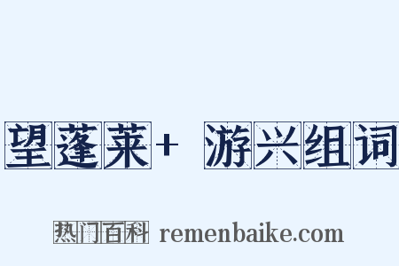望蓬莱+游兴组词是什么意思的图片